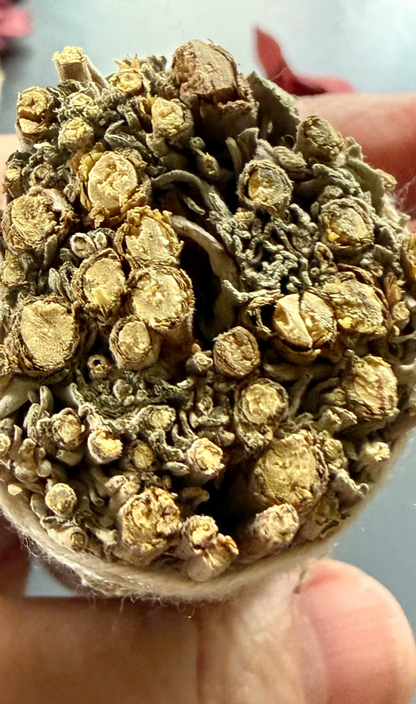 Blue Sage 4" Smoke Cleansing Bundle